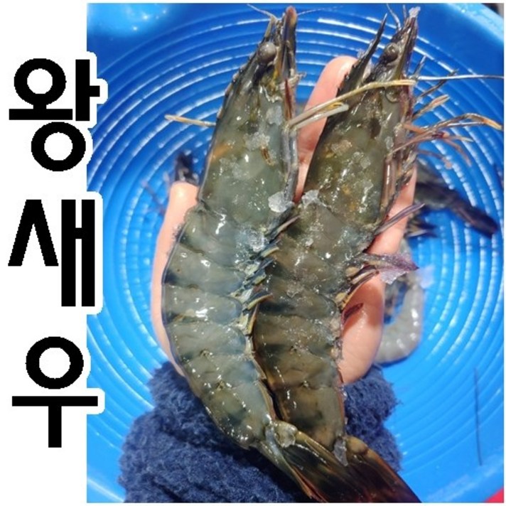 블랙 타이거 새우 킹 타이거 새우 캠핑 새우 왕새우 1kg(16마리), 블랙타이거 새우 대 1kg(16마리)