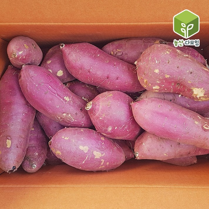  고구마 꿀밤고구마 왕특 10kg, 1개 