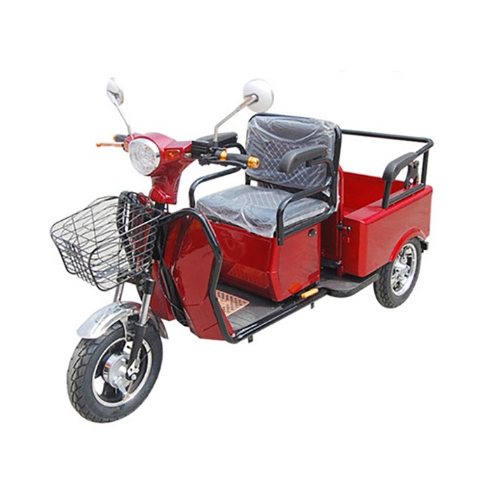 전동삼륜차 오토바이 삼발이 충전식 전기모터 무소음 100kg