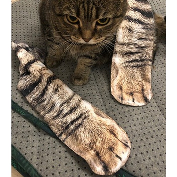 남녀공용 특히하고 귀여운 동물양말 고양이발 장목수면양말 고등어태비발 치즈태비발