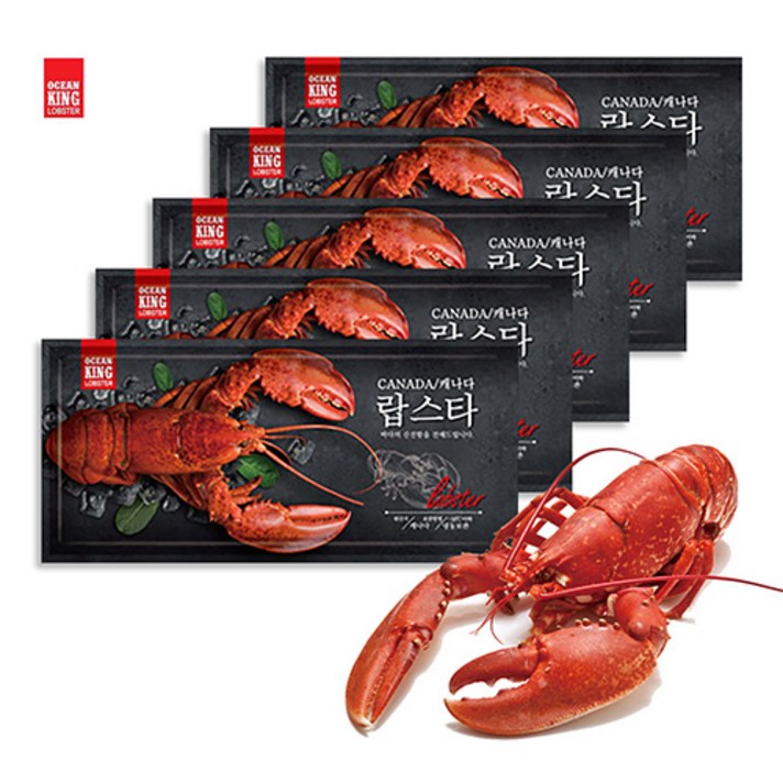 방송상품!! [오션킹] 캐나다 자숙 랍스터 5팩 총2.1kg이상 랍스타(1팩당 400~500g)