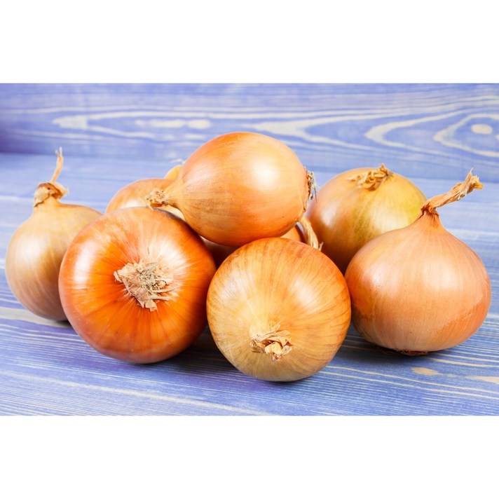 국내산 전남 무안군 햇양파 중/대 특대 1.5kg 3kg 5kg 10kg 초특가, 3kg (중/요리용)