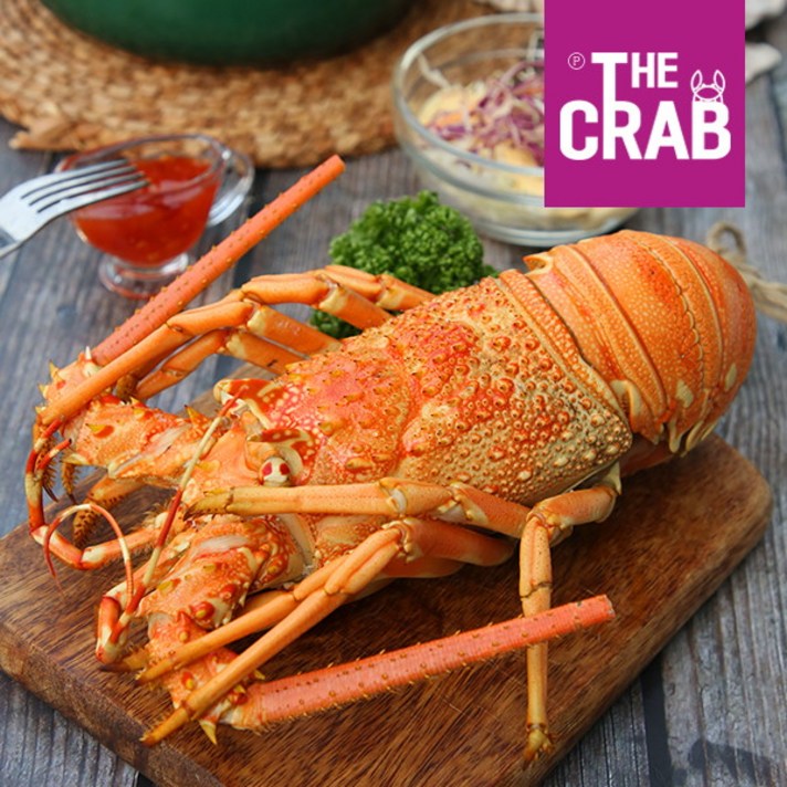 [더꽃게] 정글의법칙 크레이피쉬 1마리 1kg (900-1.1kg) 바다가재 랍스타, 상세 설명 참조