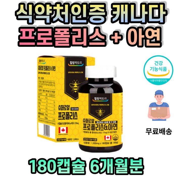 어르신 플로폴리스 아연 면역 활력 건강 증진 노인 노년기 할머니 할아버지 건강기능식품
