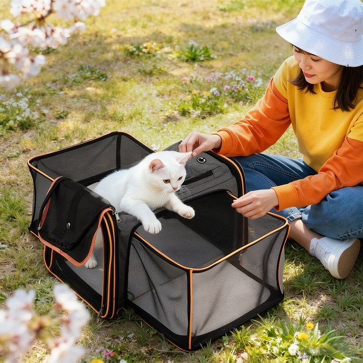 Zaxnouvi 확장형 반려동물 이동가방 기내용 외출용 대형 이동장, 1개, 오렌지