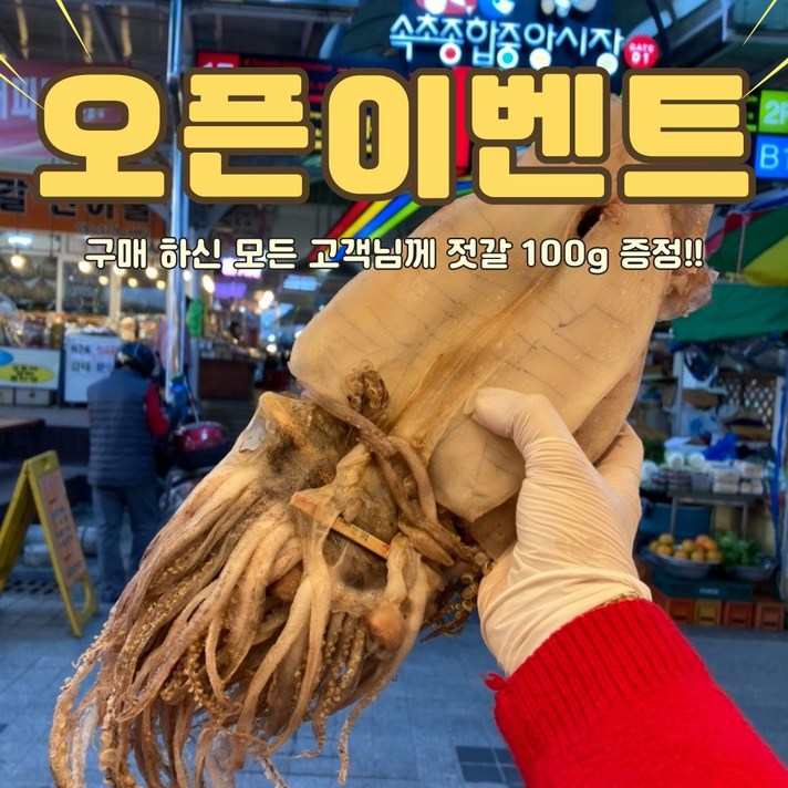 [다인][젓갈100g증정] 반건조오징어 (소) /속초 피데기/동해안 반건조오징어/속초 오징어/앵치피데기/속초 반건조오징어