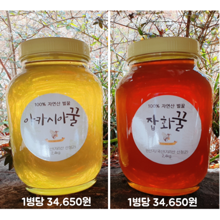 지리산 토종 자연산 아카시아 잡화 국산 천연 벌꿀 2.4kg 1병