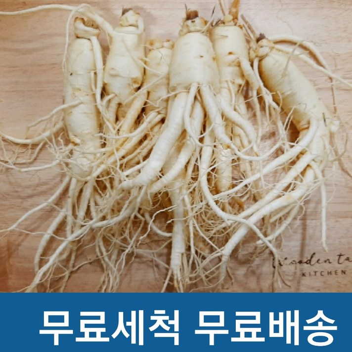  [실속인삼]] 햇인삼 금산 세척삼 수삼(200g)7-9뿌리 난발파삼, 2개 