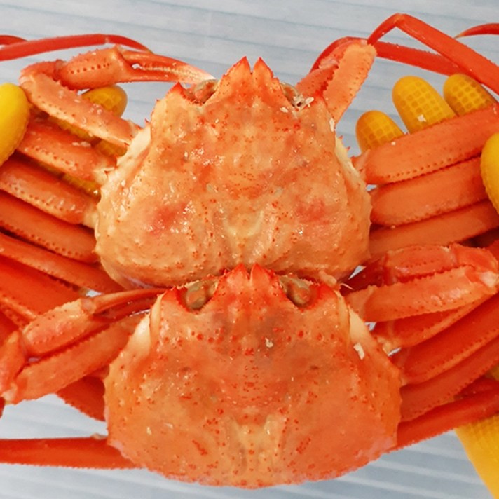 청춘마켓 국내산 제철 연지 홍게 3kg 10마리+백고동250g 서비스 자숙 홍개 찜 홍게철 시세, 1박스, [HG 연지홍게 비품 3kg(10-12미 내외)]+백고동 250g 증정