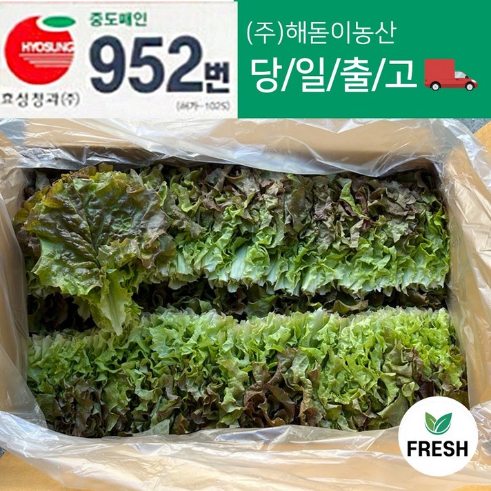 <해돋이농산> 꽃상추 2kg내외 4kg내외(상), 2kg, 1개”></div>
<div class=