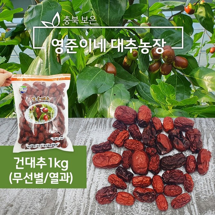 [21햇대추 영준이네 대추농장]보은 건대추 열과무선별 못난이대추 (차 즙용) 1kg