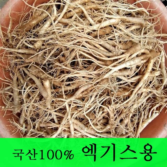 [금산도라지] 직접재배한 생도라지1kg >산지직송>국산도라지 약도라지 엑기스용 나물용 무침 정과용 배즙용 *국산100%*, 1개, 도라지(엑기스용) – 1kg”></div>
<div class=