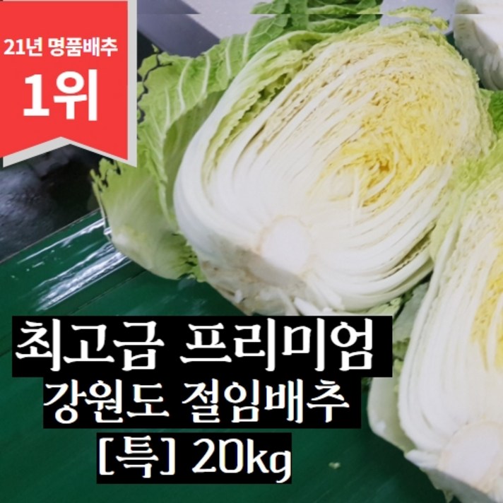 강원도 고랭지 절임배추 HACCP 인증 [20kg] [특품], 토