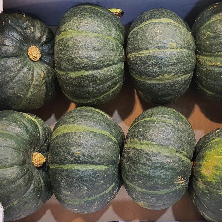 [달콤한과일] 국내산 포슬포슬 미니 밤호박 단호박 3kg, 1box, 3kg 8~10수