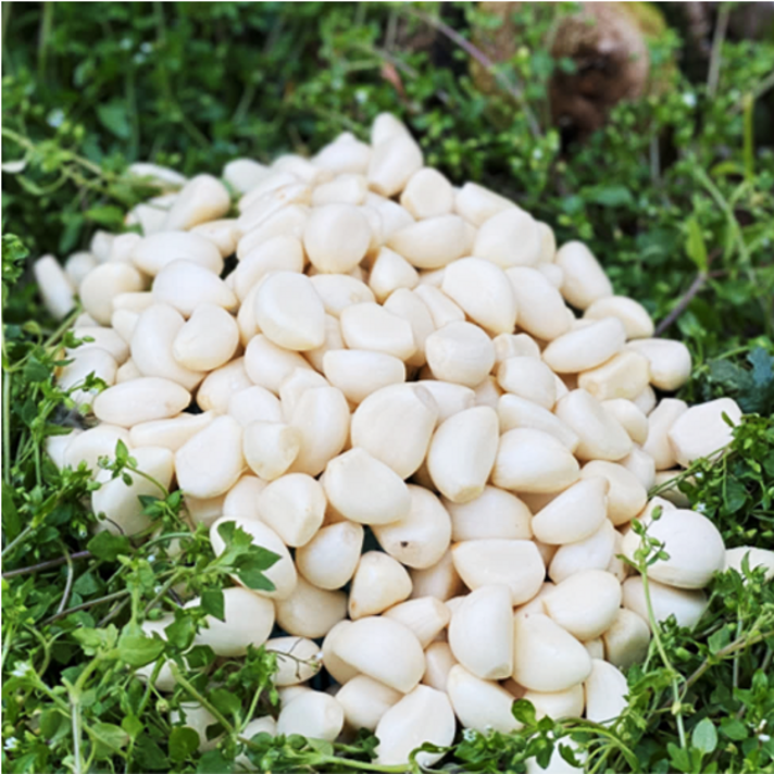 [싱싱다모아] 국산 창녕 깐마늘 대 중 소 1kg (꼭지제거는 옵션2번만), 1봉, 2. 꼭지제거 깐마늘 (대) kg