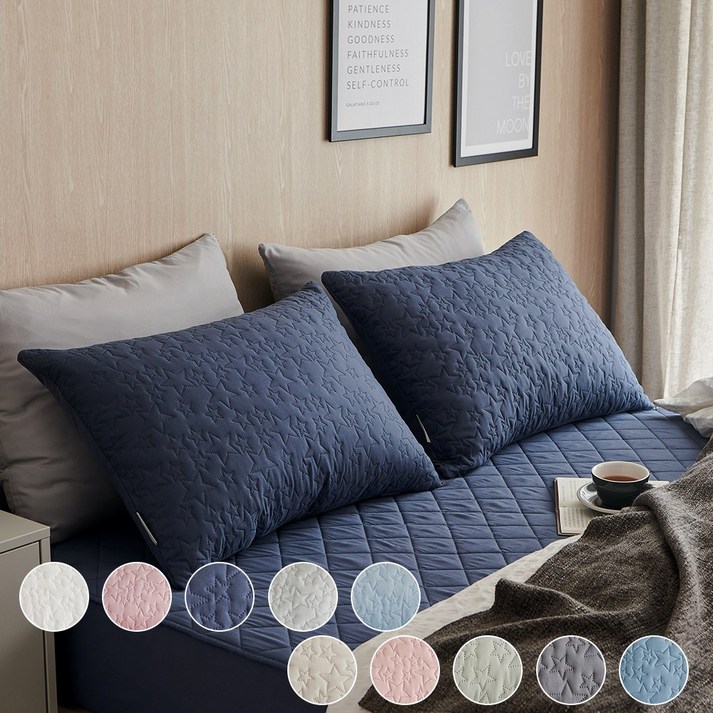 데시뉴 먼지없는 에센스 항균 누빔 베개커버 2P 데시뉴 먼지없는 에센스 항균 누빔 베개커버 2P