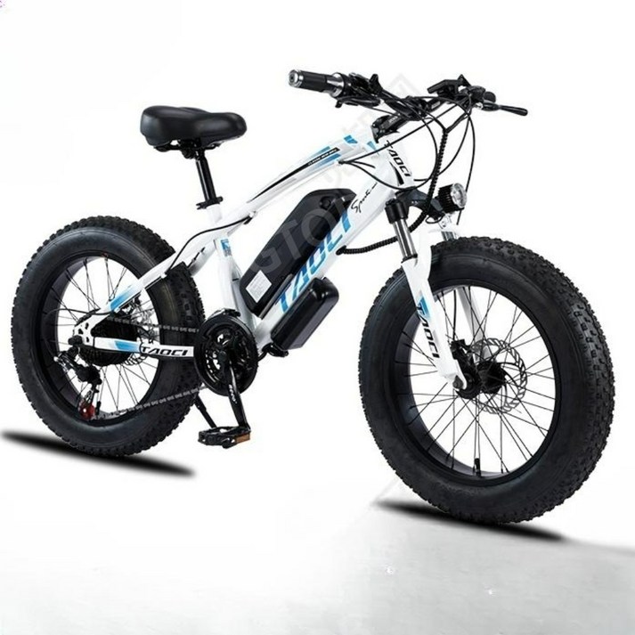 GTOB 전기 팻바이크 20인치 36V 튼튼한 펫바이크 오토바이 자전거