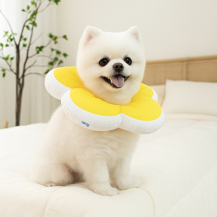 레토 반려동물 플라워 방수 초경량 넥카라