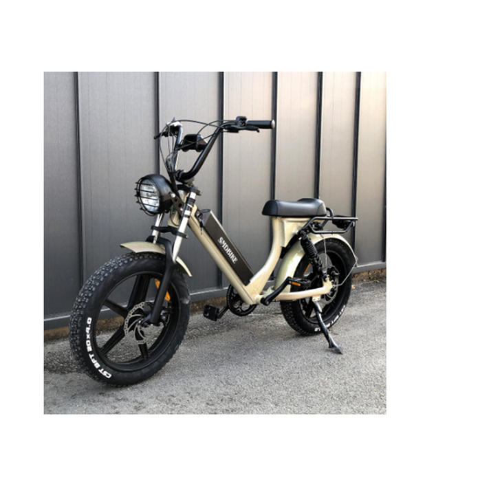 (방배점)SMD바이크 V5 1000W 48V 17AH 20AH 25AH 전기자전거 자토바이