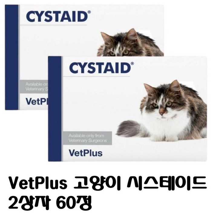 고양이 캣 시스테이드 플러스11 총 60캡슐