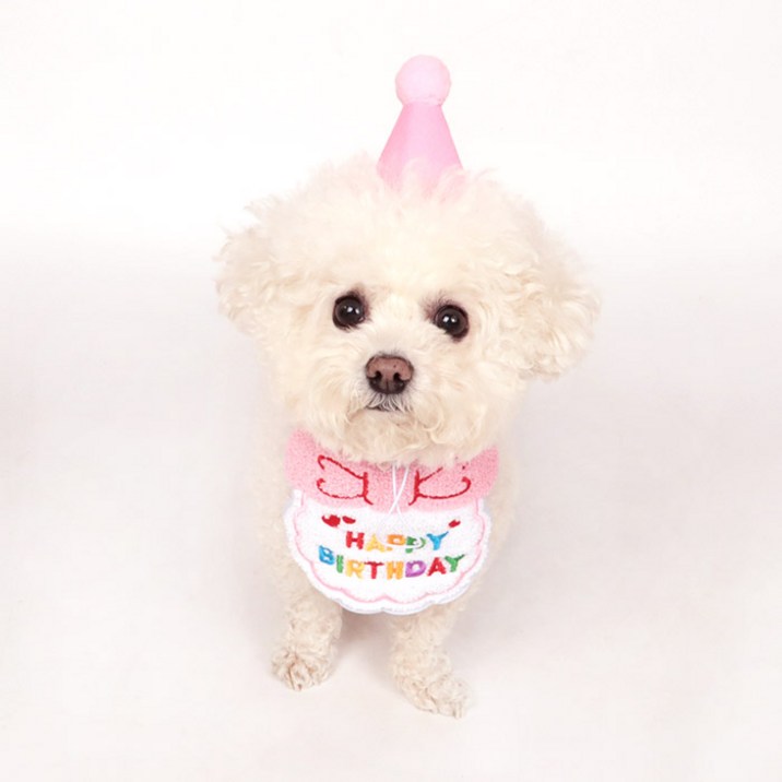 딩동펫 반려동물 생일파티 해피 케이프 + 모자 세트
