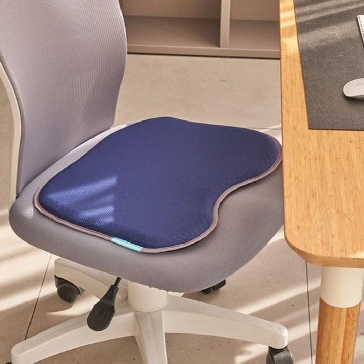 밸런스온 베타젤 FIT 시트 L + 커버