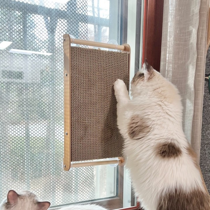 PETCA 고양이 창문 흡착형 수직스크래쳐, 1개