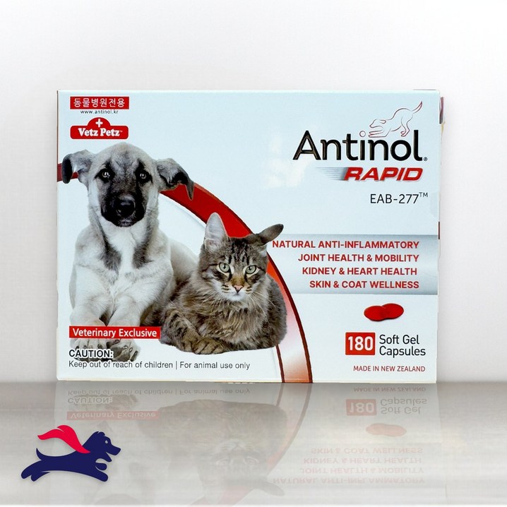 당일발송 최신 베츠페츠 안티놀 래피드 180정 강아지 고양이 천연 관절영양제
