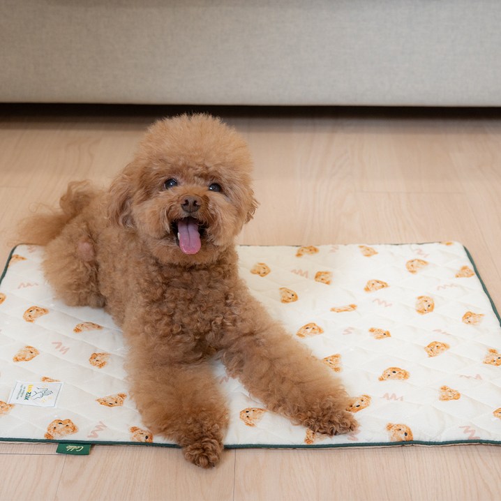 바니네 반짝 프리미엄 쿨매트 세트 인견 커버쿨젤매트