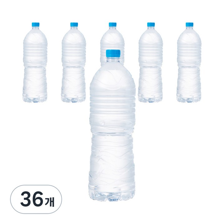 탐사 샘물, 2L, 36개