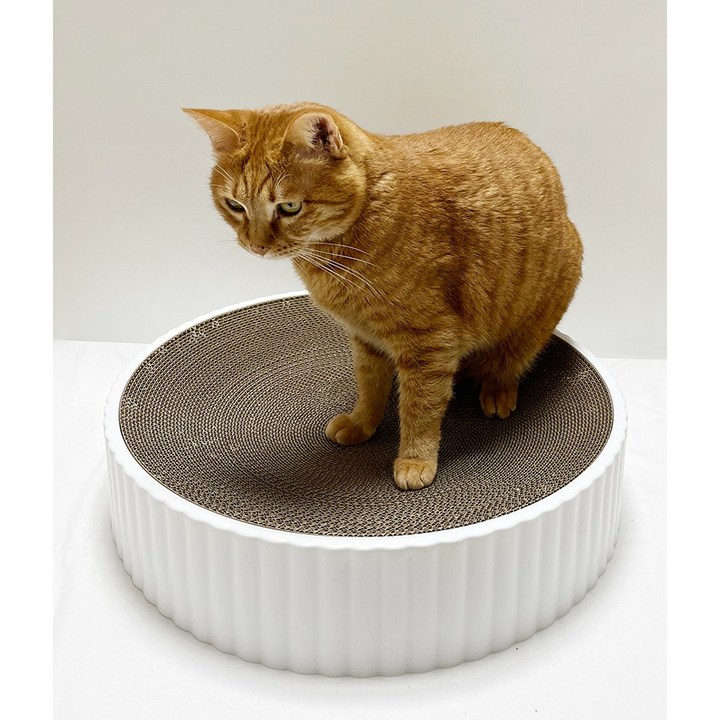 고양이 스크래쳐 대형 46cm, 본품리필