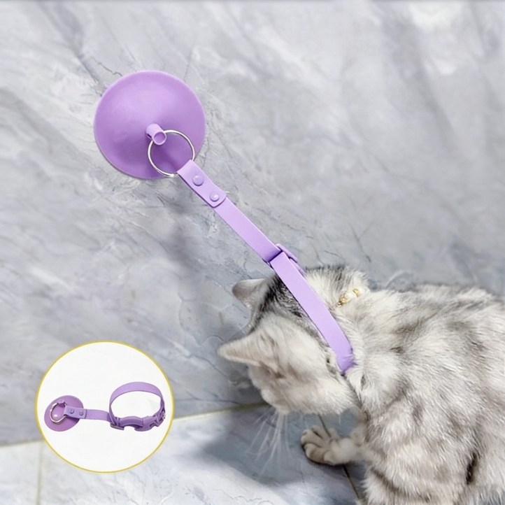 상덕 강아지 목욕 고정기 위한 전용 빨판 미용거치대 고양이 애견 발톱깎이