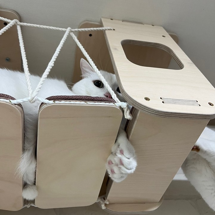 고양이 캣워커 하늘 구름다리 2단