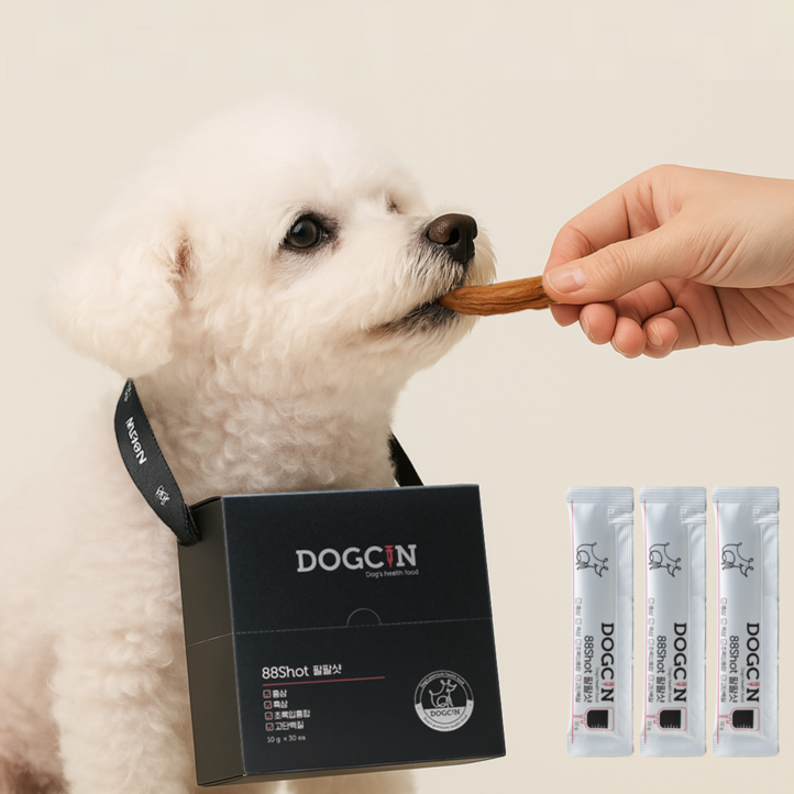 독신 팔팔샷 저속노화 노견영양제 강아지 항산화제 치매 홍삼