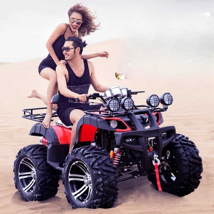 4륜 오토바이 레저용 산악 가솔린 사발이 오프로드, 1개, 250cc