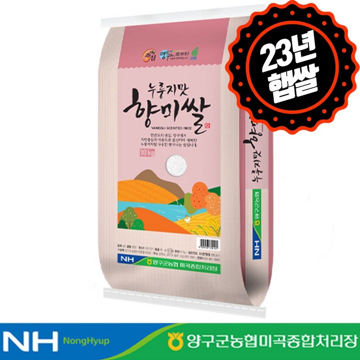 하루세끼쌀 23년 햅쌀 양구농협 양구 누룽지맛 향미쌀 10kg 구수한향당일도정