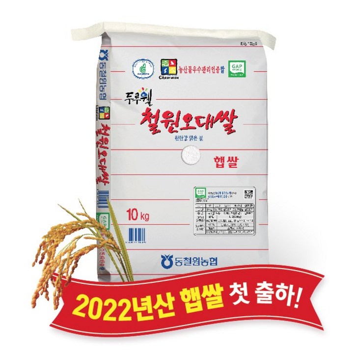 [당일도정] [동철원농협 직접운영] 2022년산 두루웰 철원오대쌀, 햅쌀 10kg