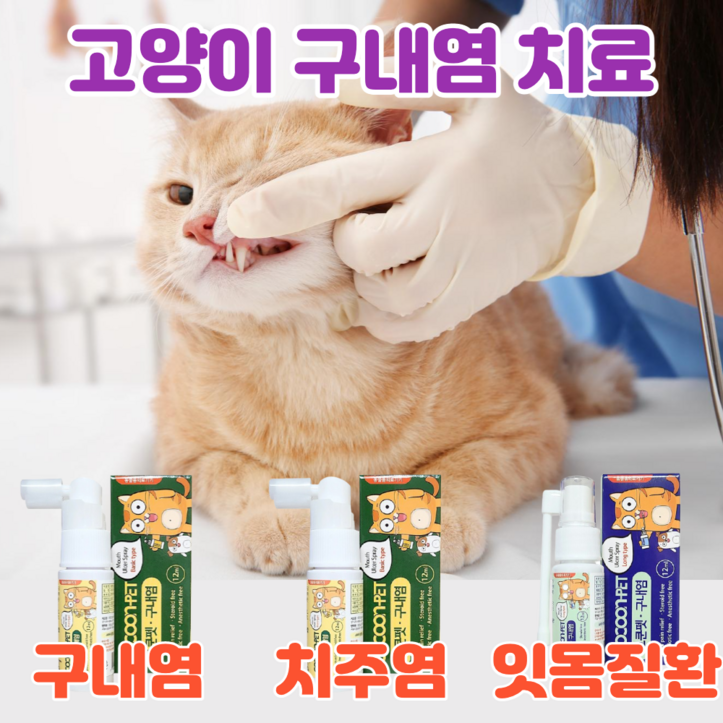 이지캣 고양이 구내염약 구내염 치주염 치은염 잇몸염증 바르는 젤 구강 영양제 7501635653
