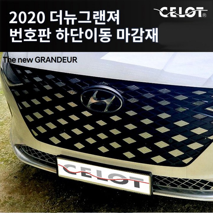 더뉴그랜저 하단이동형 번호판가드, 1개, 단일색상
