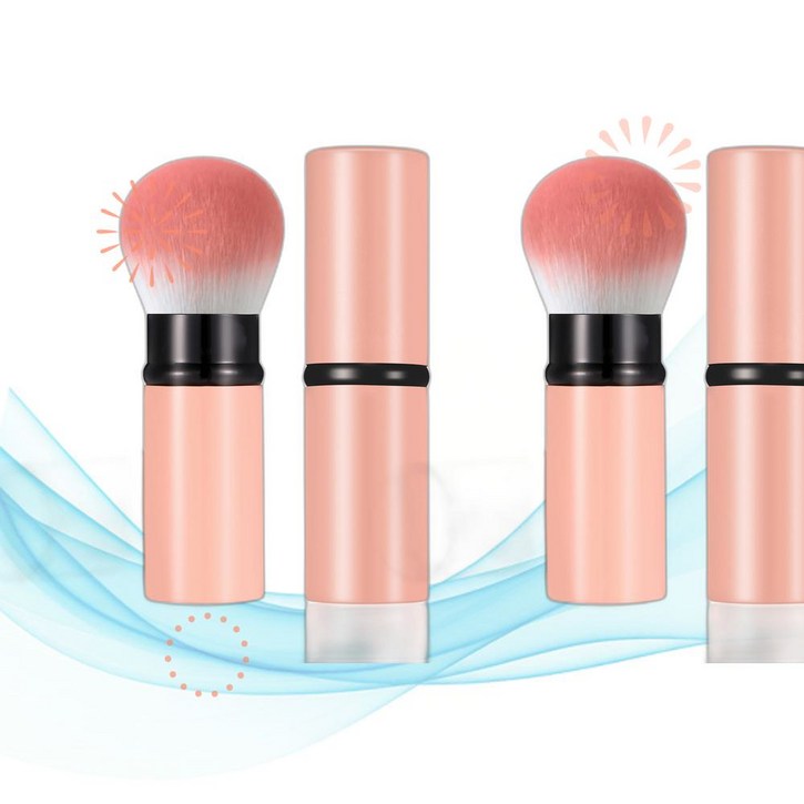 Falliny 폴리니 방충망 청소 브러쉬 휴대용 메이크업 브러쉬, 카부키블러셔파운데이션선크림 덮개 포함 SO