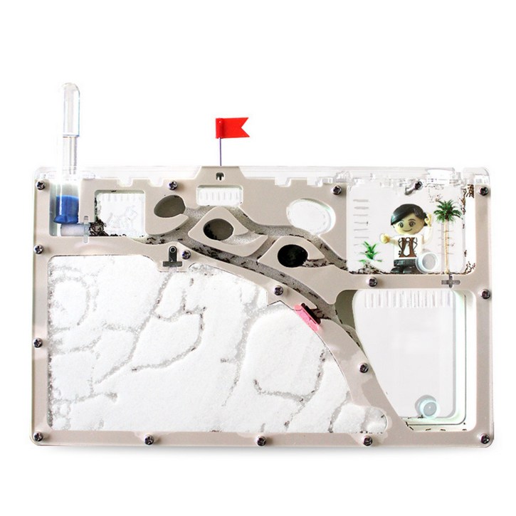 빌리네집 개미 키우기 키트 관찰 곤충 학습 개미집