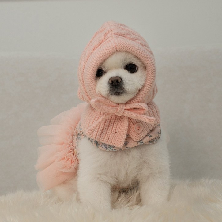 베일리펫 강아지 모자 겨울 귀마개 귀도리 바라클라바