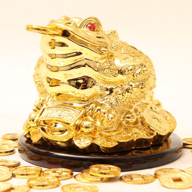 제이엔하우스 황금 삼족두꺼비 소형, 단일색상