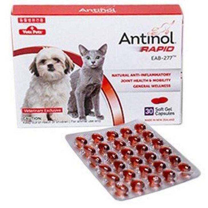 안티놀 래피드 30정 강아지 고양이 관절영양제 리뉴얼 제품 1021457 - 캠핑밈