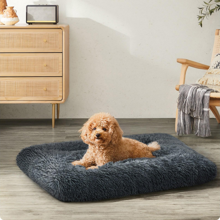 FEANDREA 반려동물 꿀잠 푹신한 미끄럼 방지 사각 강아지 방석 쿠션