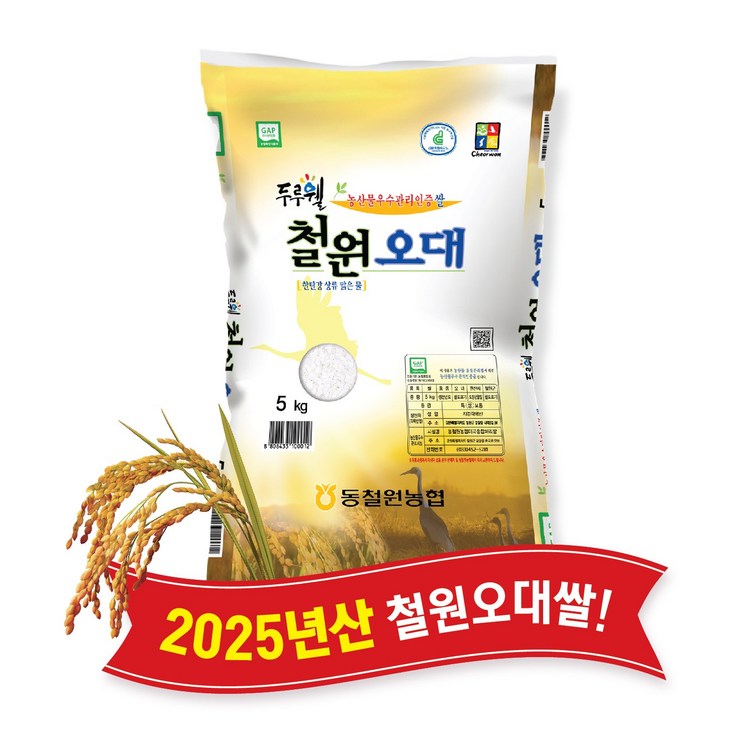 당일도정 동철원농협 운영 2025년산 햅쌀 두루웰 철원오대
