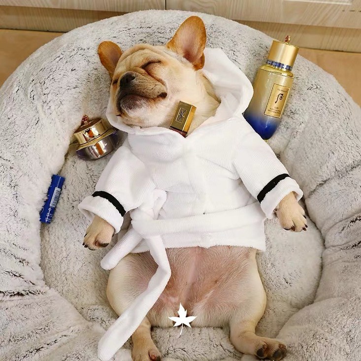 도그월드 반려동물 샤워 가운 도그월드 반려동물 샤워 가운