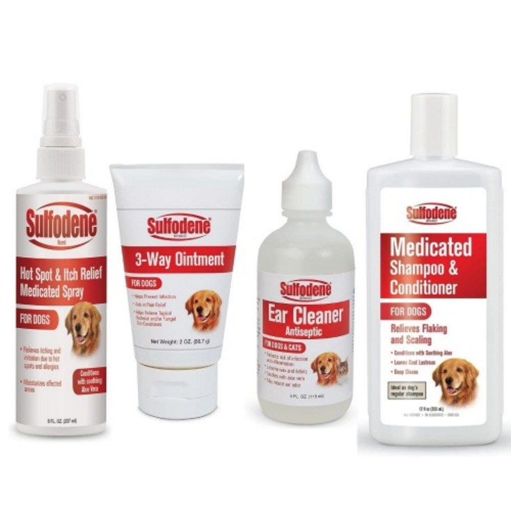 설포딘 연고 귀세정제 샴푸 스프레이 4종세트