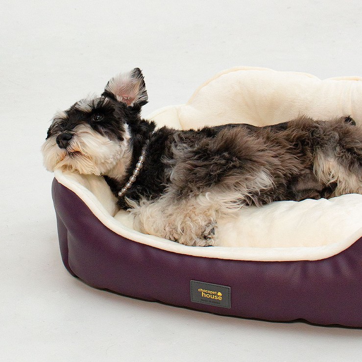 초코펫하우스 강아지 방석 쿠션 침대 로얄 사각 방석 2.0, 아이보리