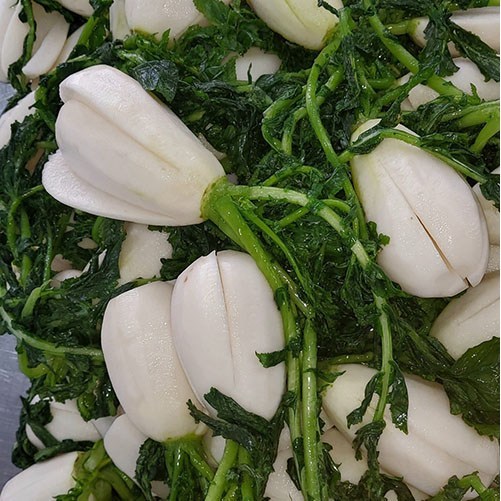 전라도꽃김치 국산 전라도맛있는김치 전라도김치 재구매 많은 가정식 수제김치 당일제조하는 생김치 모든재료 국내산 총각무김치, 2kg, 1개 - thumb image